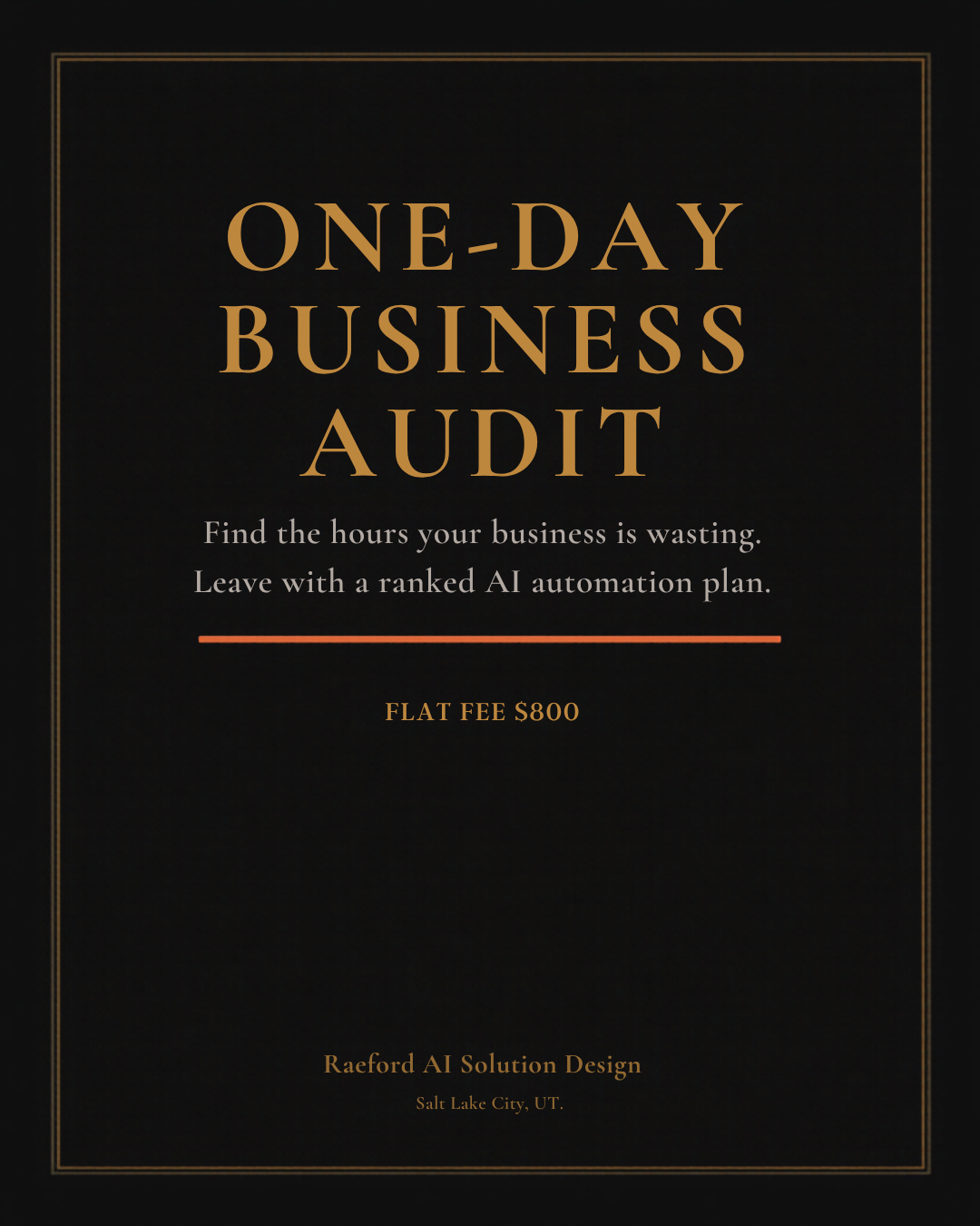 One-Day Business Audit, flat fee $800
