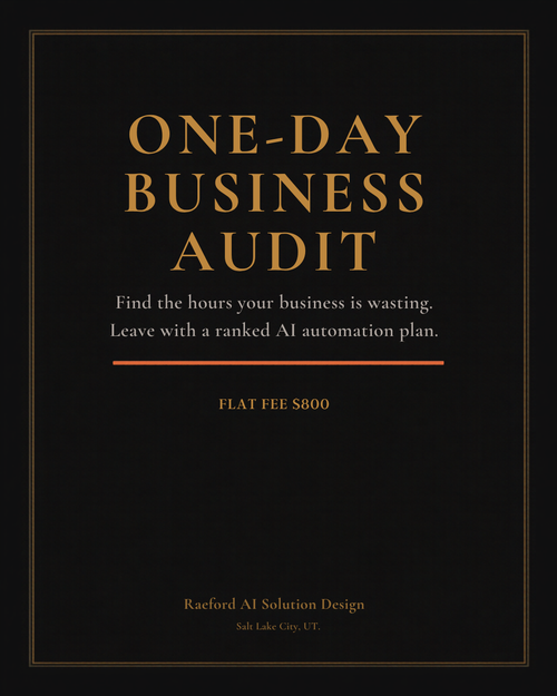 One-Day Business Audit, flat fee $800